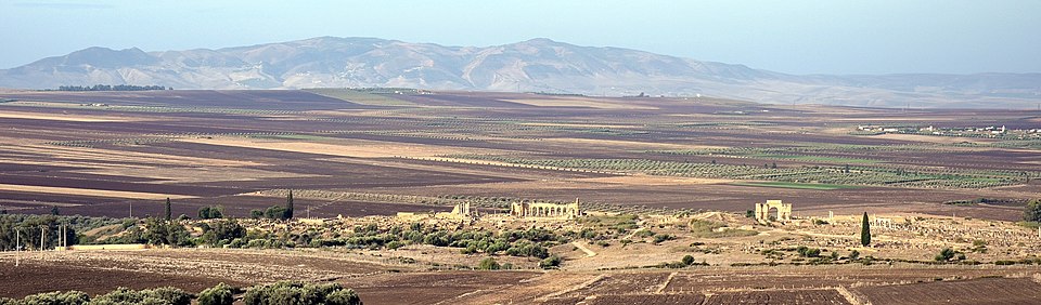Volubilis_panorama