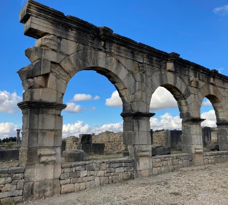 VOLUBILIS-